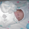 nevin 1