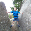 nevin 6